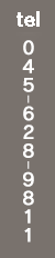 0456289811